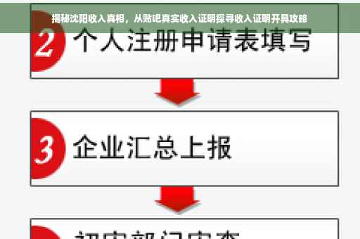 揭秘沈阳收入真相，从贴吧真实收入证明探寻收入证明开具攻略