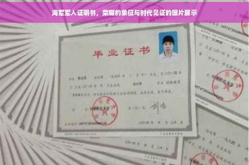 海军军人证明书，荣耀的象征与时代见证的图片展示