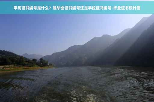 学历证书编号是什么？是毕业证书编号还是学位证书编号-毕业证书设计图