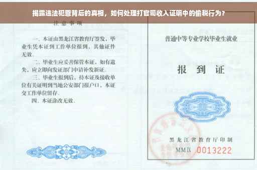 揭露违法犯罪背后的真相，如何处理打官司收入证明中的偷税行为？