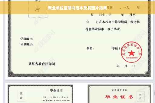 就业单位证明书范本及其图片指南