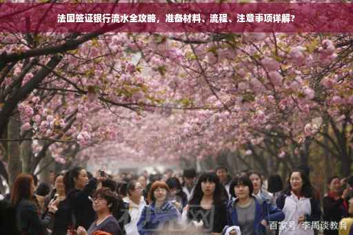 法国签证银行流水全攻略，准备材料、流程、注意事项详解?