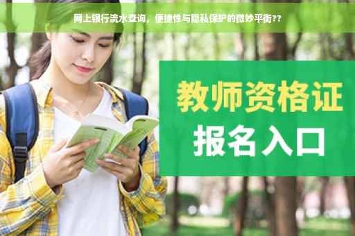 网上银行流水查询，便捷性与隐私保护的微妙平衡??