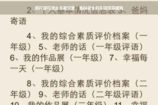 招行银行流水加密设置，金融安全的关键保障措施