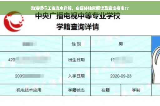 渤海银行工资流水详解，自媒体独家解读及查询指南??