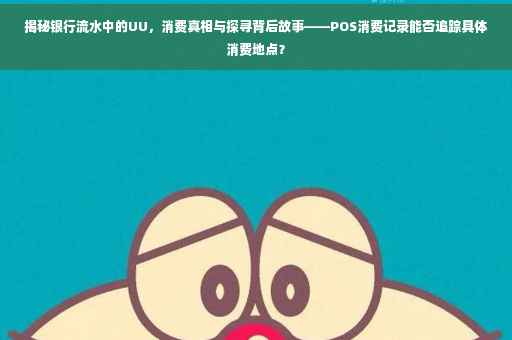揭秘银行流水中的UU，消费真相与探寻背后故事——POS消费记录能否追踪具体消费地点？