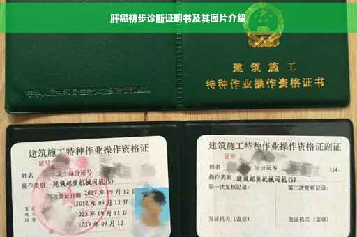 肝癌初步诊断证明书及其图片介绍
