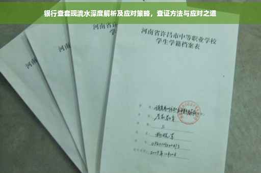 银行查套现流水深度解析及应对策略，查证方法与应对之道
