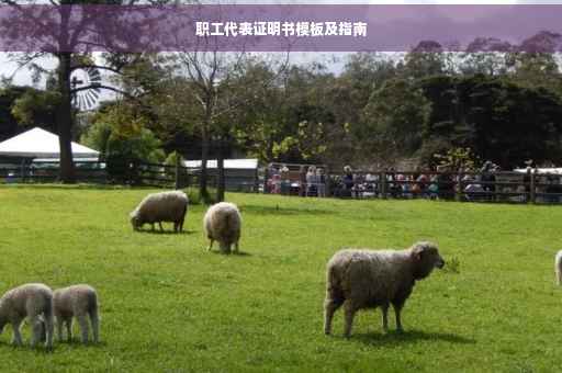职工代表证明书模板及指南