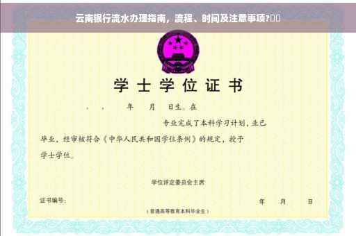 云南银行流水办理指南，流程、时间及注意事项?⚡️