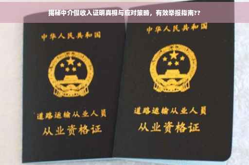 揭秘中介假收入证明真相与应对策略，有效举报指南??