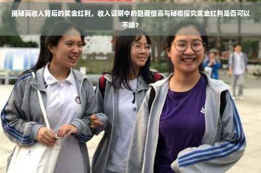 揭秘高收入背后的奖金红利，收入证明中的隐藏惊喜与秘密探究奖金红利是否可以不填？