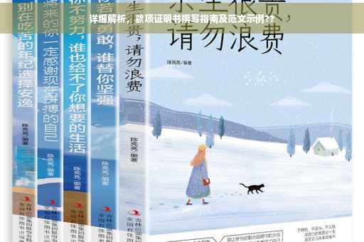 详细解析，款项证明书撰写指南及范文示例??