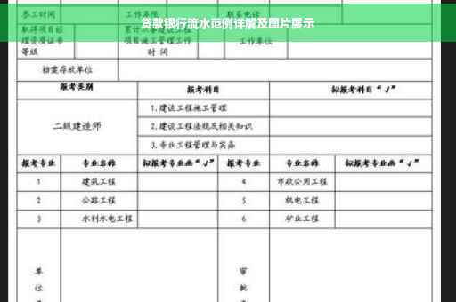 贷款银行流水范例详解及图片展示