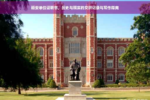 延安单位证明书，历史与现实的交织记录与写作指南
