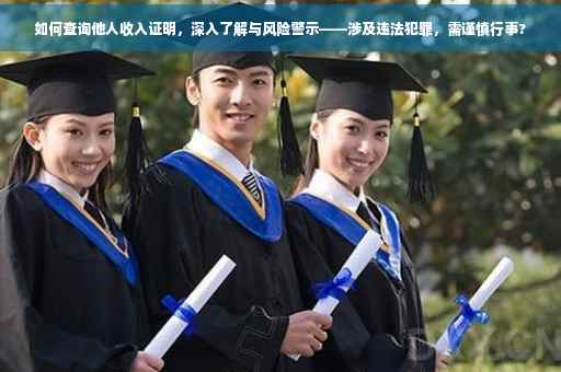 如何查询他人收入证明，深入了解与风险警示——涉及违法犯罪，需谨慎行事?