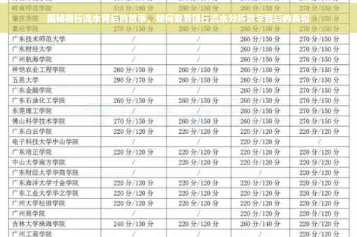揭秘银行流水背后的故事，如何查看银行流水分析数字背后的真相