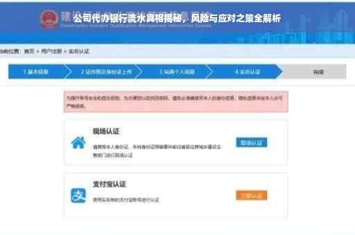 公司代办银行流水真相揭秘，风险与应对之策全解析