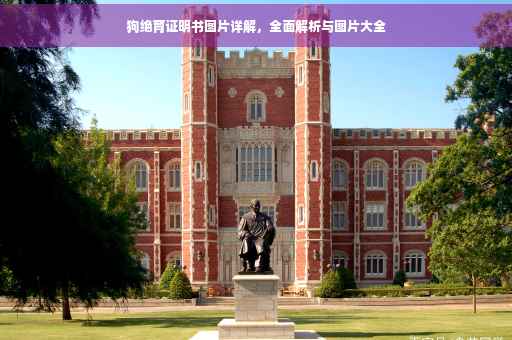 狗绝育证明书图片详解，全面解析与图片大全