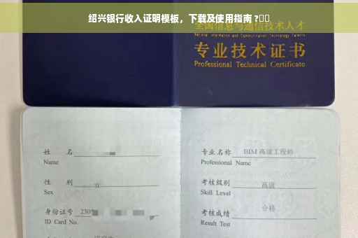 绍兴银行收入证明模板，下载及使用指南 ?⚡️