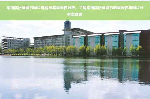 车祸病历证明书图片详解及其重要性分析，了解车祸病历证明书的重要性与图片分析全攻略