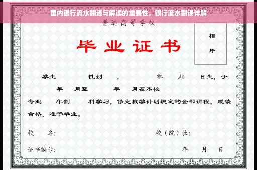 国内银行流水翻译与解读的重要性，银行流水翻译详解