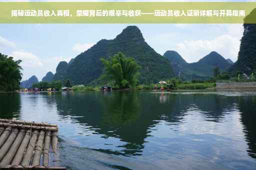 揭秘运动员收入真相，荣耀背后的艰辛与收获——运动员收入证明详解与开具指南