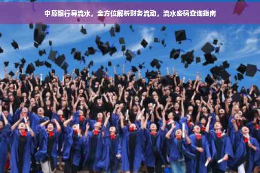 中原银行导流水，全方位解析财务流动，流水密码查询指南