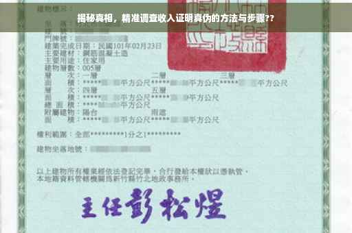 揭秘真相，精准调查收入证明真伪的方法与步骤??