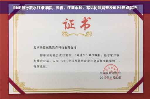 BNP银行流水打印详解，步骤、注意事项、常见问题解答及IBPS热点解析