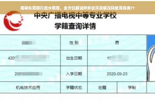 揭秘东莞银行流水明细，全方位解读财务状况及解压码使用指南??