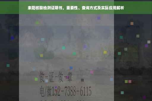 耒阳核酸检测证明书，重要性、查询方式及实际应用解析