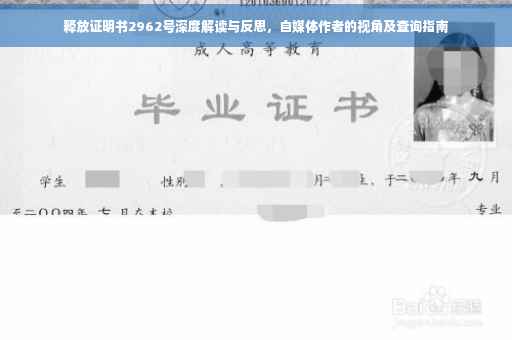 释放证明书2962号深度解读与反思，自媒体作者的视角及查询指南