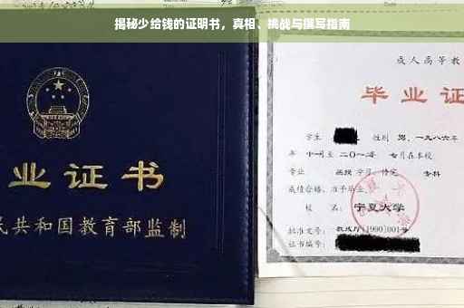 揭秘少给钱的证明书，真相、挑战与撰写指南