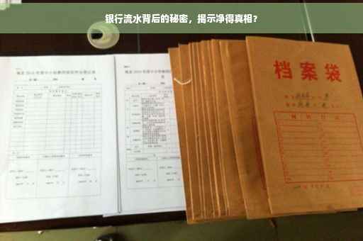 银行流水背后的秘密，揭示净得真相？