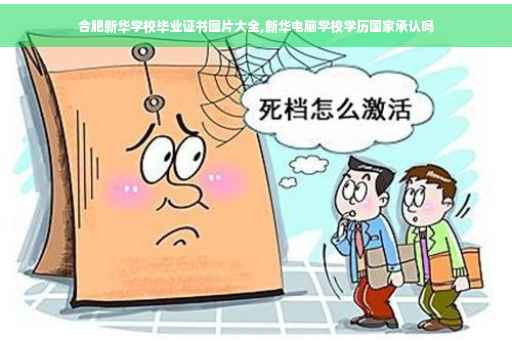 合肥新华学校毕业证书图片大全,新华电脑学校学历国家承认吗