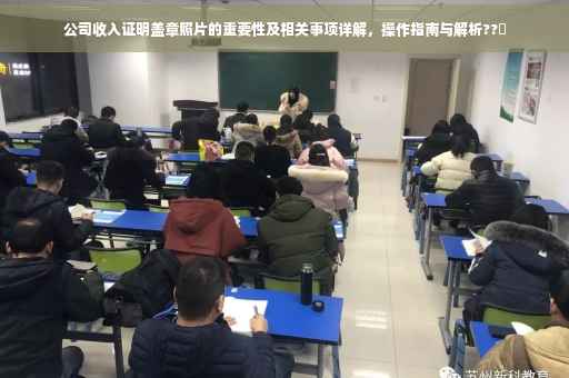 公司收入证明盖章照片的重要性及相关事项详解，操作指南与解析??️