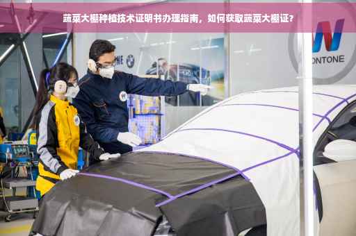 蔬菜大棚种植技术证明书办理指南，如何获取蔬菜大棚证？
