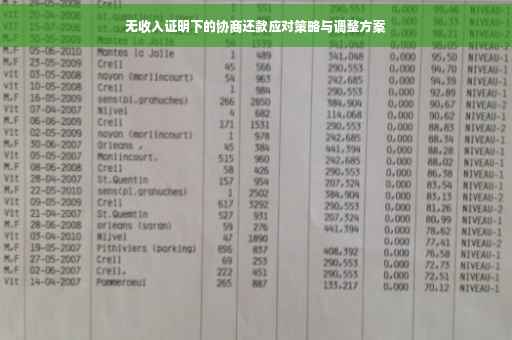无收入证明下的协商还款应对策略与调整方案