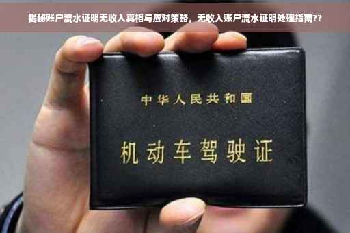 揭秘账户流水证明无收入真相与应对策略，无收入账户流水证明处理指南??