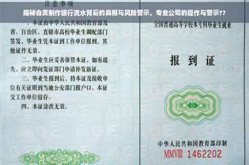 揭秘自贡制作银行流水背后的真相与风险警示，专业公司的操作与警示??