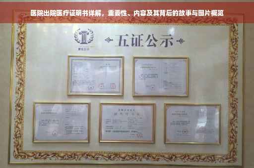 医院出院医疗证明书详解，重要性、内容及其背后的故事与图片概览