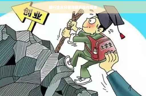 银行流水分录详解及操作指南