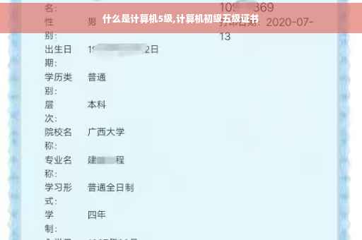 什么是计算机5级,计算机初级五级证书