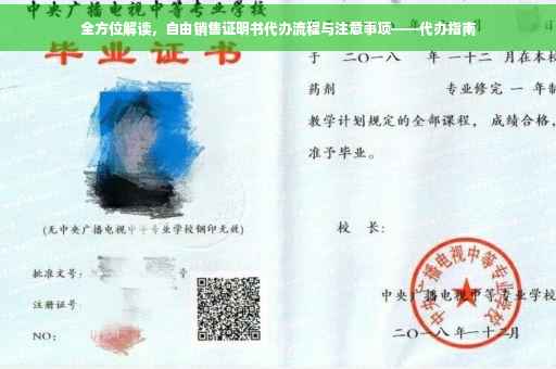 全方位解读，自由销售证明书代办流程与注意事项——代办指南