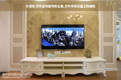 计算机 华为证书编号怎么查,华为手机后盖上的编码 计算机 华为证书编号怎么查,华为手机后盖上的编码