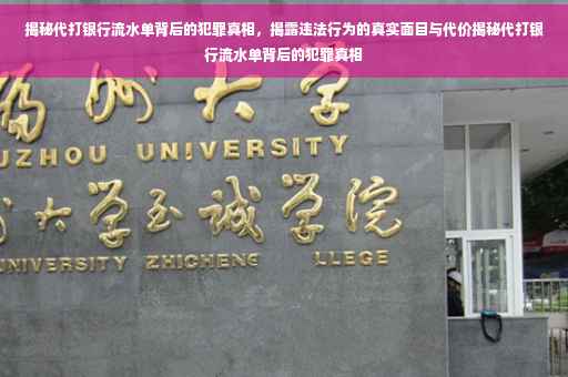揭秘代打银行流水单背后的犯罪真相，揭露违法行为的真实面目与代价揭秘代打银行流水单背后的犯罪真相