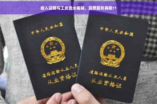 收入证明与工资流水揭秘，洞悉薪资真相??
