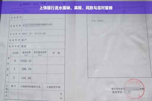 上饶银行流水揭秘，真相、风险与应对策略