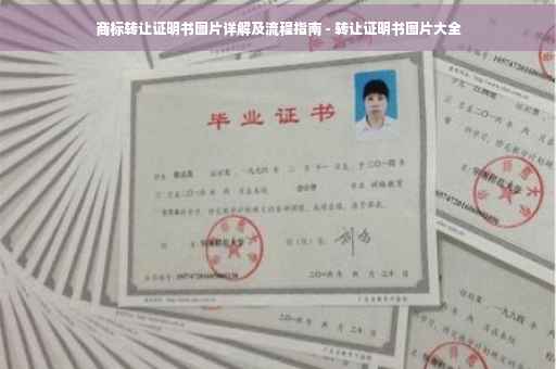 商标转让证明书图片详解及流程指南 - 转让证明书图片大全